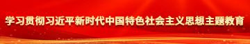 小骚逼狠狠的干视频学习贯彻习近平新时代中国特色社会主义思想主题教育